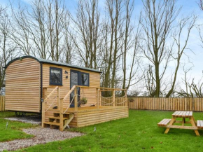 The Rams Rest - Uk48823